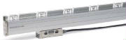 LS-CAT-177-187.JPG